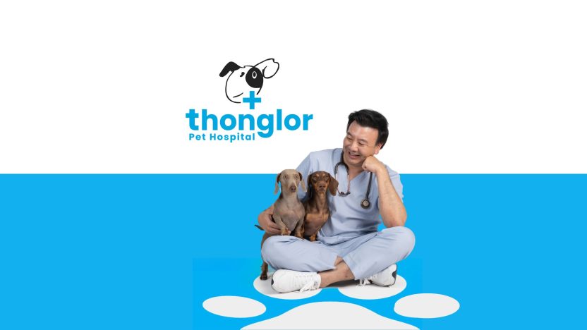 THONGLOR PET HOSPITAL